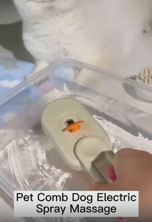 Cat Steam Brush
